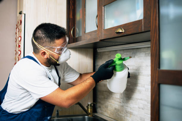 Best Pest Control Treatment  in Monument Beach, MA