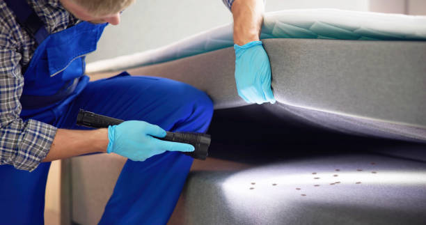 Professional Pest Control in Monument Beach, MA