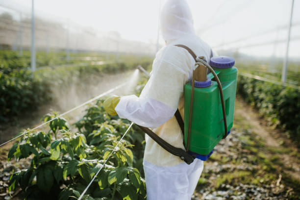 Best Pest Control Near Me in Monument Beach, MA